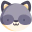 Racoon icon 64x64