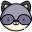 Racoon icon 64x64