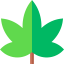 Cannabis icon 64x64