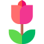 Tulip icon 64x64