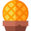 Stroopwafel icon 64x64