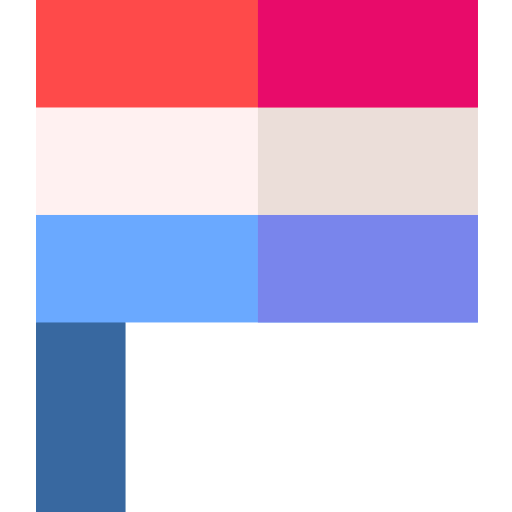 Flag icon