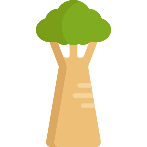 Baobab icon