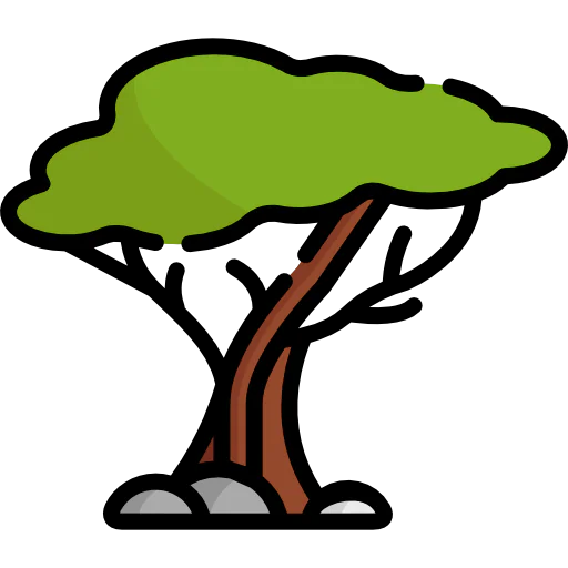 Tree icon