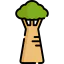Baobab icon 64x64
