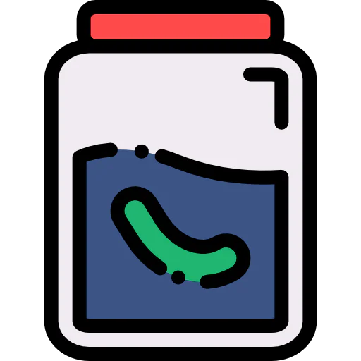 Pickle icon