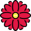 Dalia icon 64x64