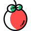 Tomato icon 64x64