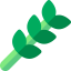 Diet icon 64x64