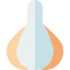 Clove garlic icon 64x64