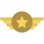 Rank Ikona 64x64