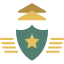 Rank Ikona 64x64
