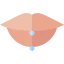Piercing icon 64x64
