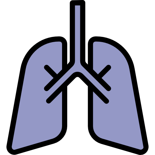 Lung icon