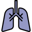 Lung icon 64x64