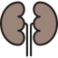 Kidneys Symbol 64x64