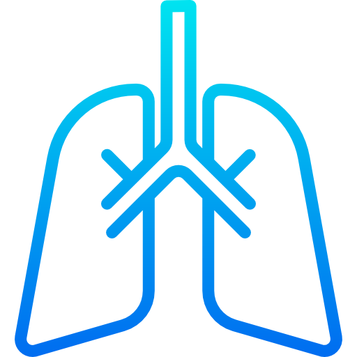 Lung icon