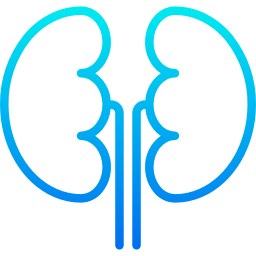 Kidneys icon