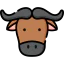 Buffalo アイコン 64x64