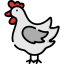 Rooster icon 64x64