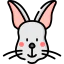 Rabbit icon 64x64