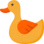 Duck icon 64x64