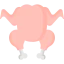 Chicken icon 64x64