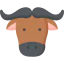 Buffalo アイコン 64x64