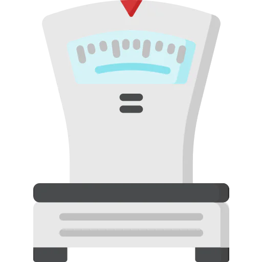 Kitchen scale icon
