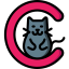 Letter c icon 64x64