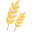 Grain icône 64x64