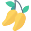 Mango icon 64x64