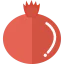Pomegranate icon 64x64