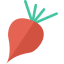 Garlic icon 64x64