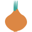 Onion icon 64x64