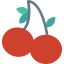 Cherry icon 64x64