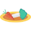 Salad icon 64x64