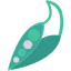 Beans icon 64x64