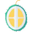 Lychee icon 64x64