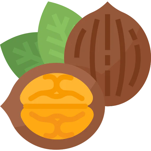 Walnut icon