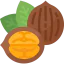 Walnut icon 64x64