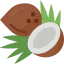 Coconut icon 64x64