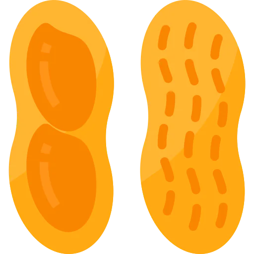 Peanut icon