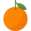 Orange icon 64x64