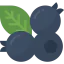 Blueberry icon 64x64