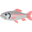 Trout icon 64x64