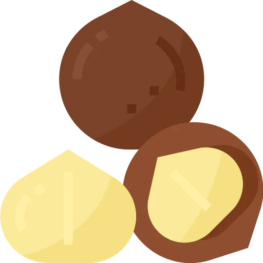 Macadamia nut icon
