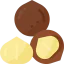 Macadamia nut アイコン 64x64