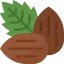 Almond icon 64x64