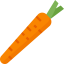 Carrots icon 64x64